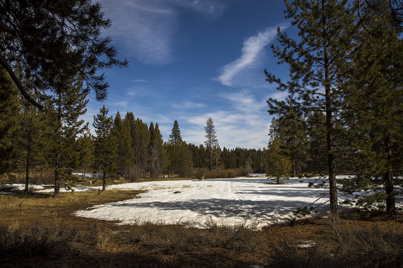 2/20/2020  Donner Camp Trail at Alder Creek