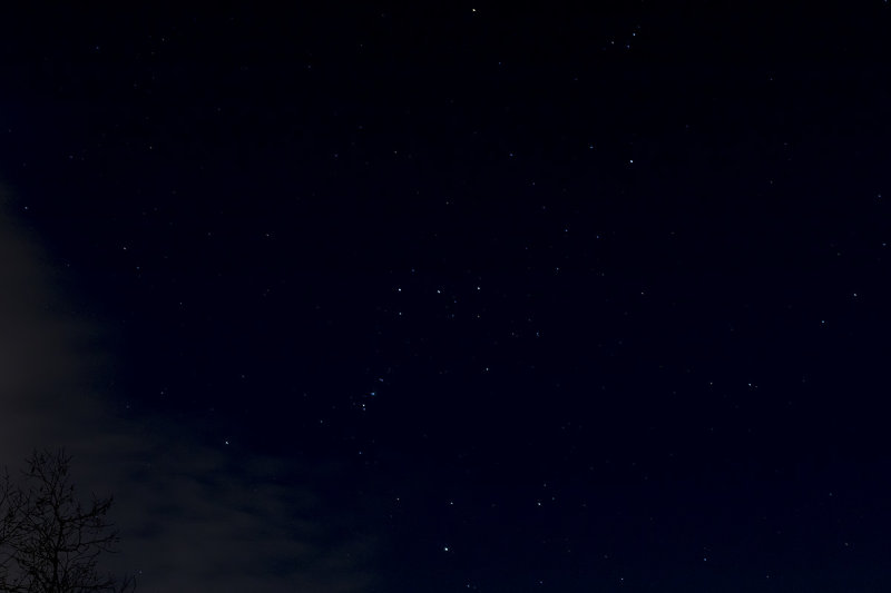 3/10/2020  Constellation of Orion