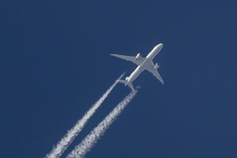 8/7/2020  Korean Air Lines Boeing 787-9 Dreamliner #34810  HL8081