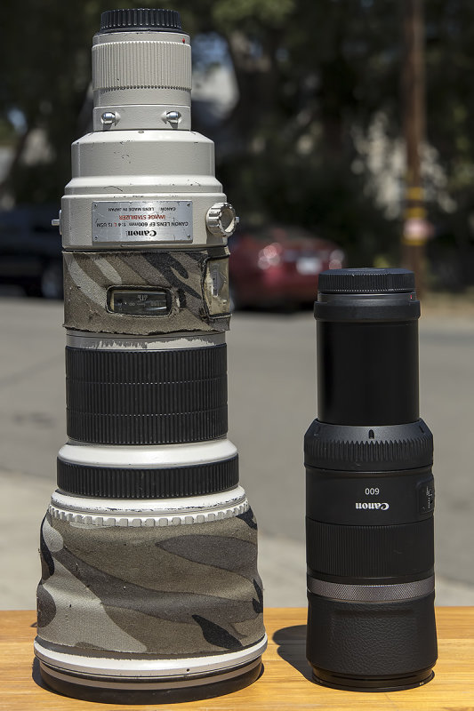 8/9/2020  My old 600mm lens next to my new 600mm lens