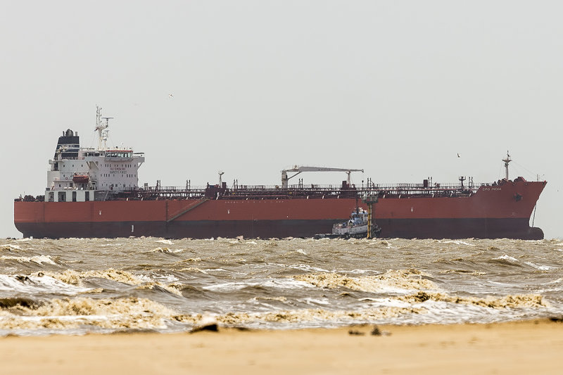 CPO INDIA  Oil/Chemical Tanker  IMO 9434228