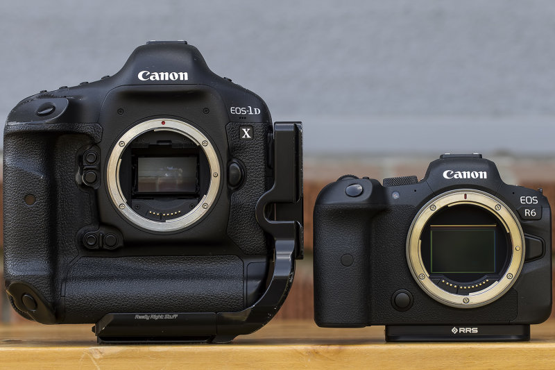 10/10/2020  Size comparison between two Full Frame digital cameras.  Canon EOS 1D X and a Canon EOS R6