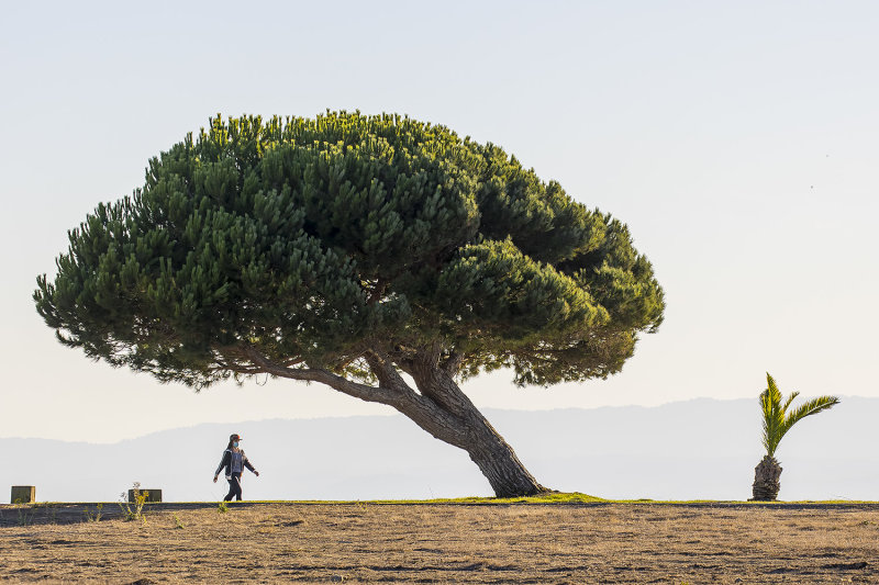 12/1/2020 Alameda, California