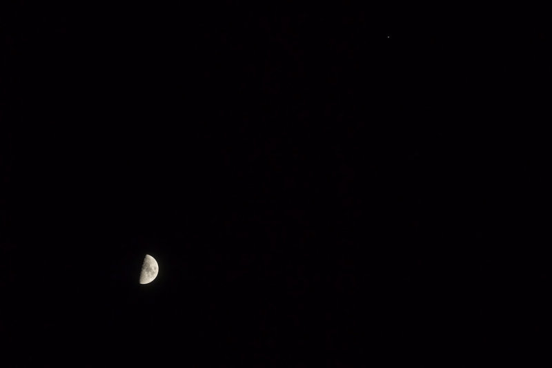 11/11/2021  First Quarter Moon and Jupiter tonight