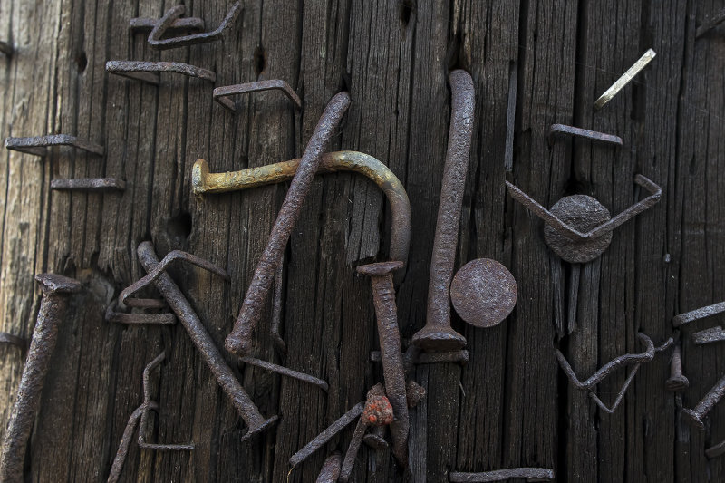 2/2/2022 Nails and staples on a telephone pole