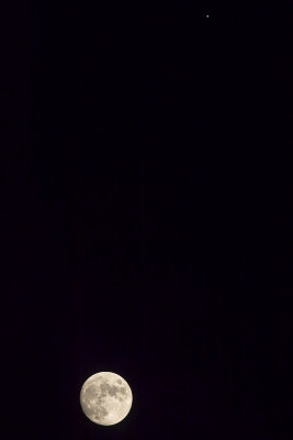 g12/16/531516/3/170931874.5ejzxQI2.jpg