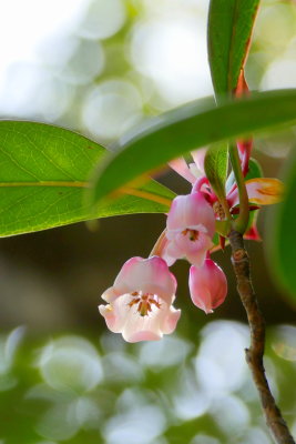 P1080107.JPG