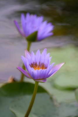 DSC01255.JPG