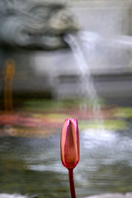 DSC01259.JPG
