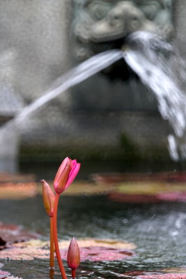 DSC01261.JPG