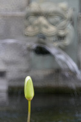 DSC01268.JPG