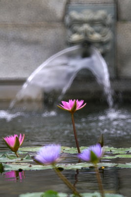 DSC01278.JPG