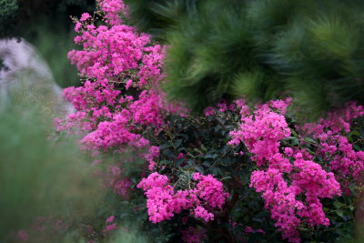 DSC01289.JPG
