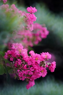 DSC01301.JPG