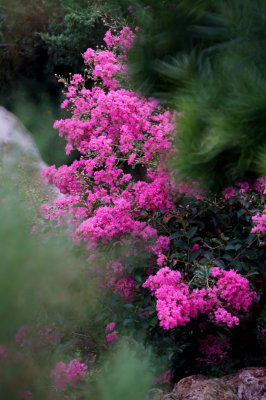 DSC01290.JPG