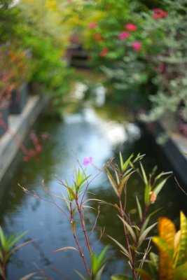 DSC00044.JPG