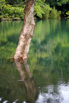 DSC00106.JPG