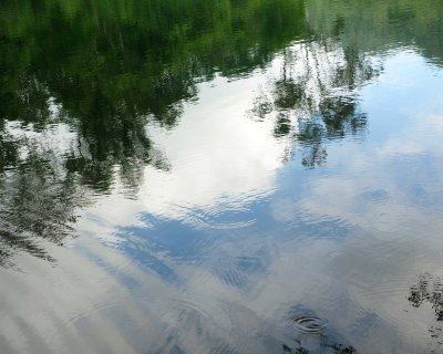 PB210193.JPG