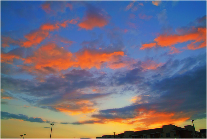 DSCF0031ss.jpg