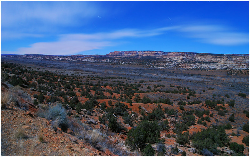 DSC_3799ss.jpg