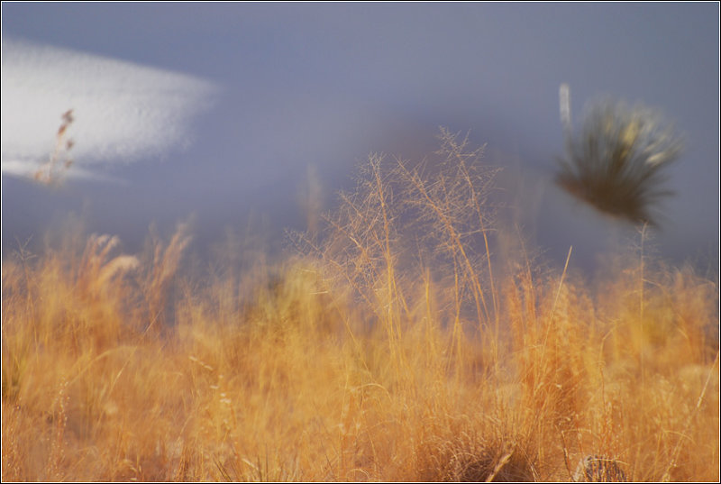 DSC_4718sss.jpg