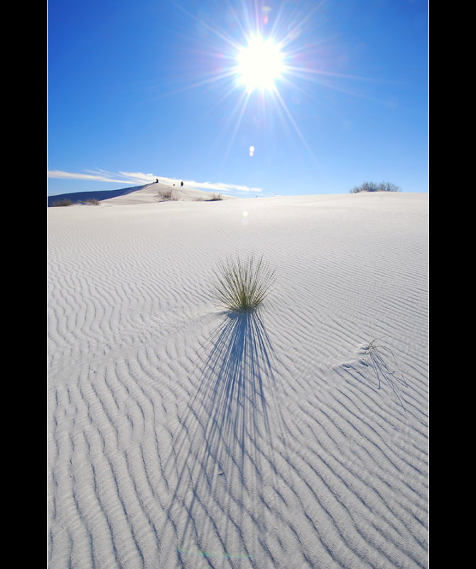 DSC_4738ss.jpg
