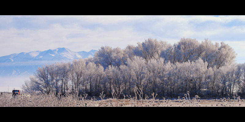 DSC_2134ss.jpg