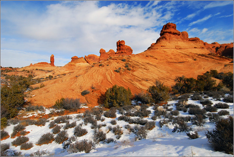 DSC_2964ss.jpg