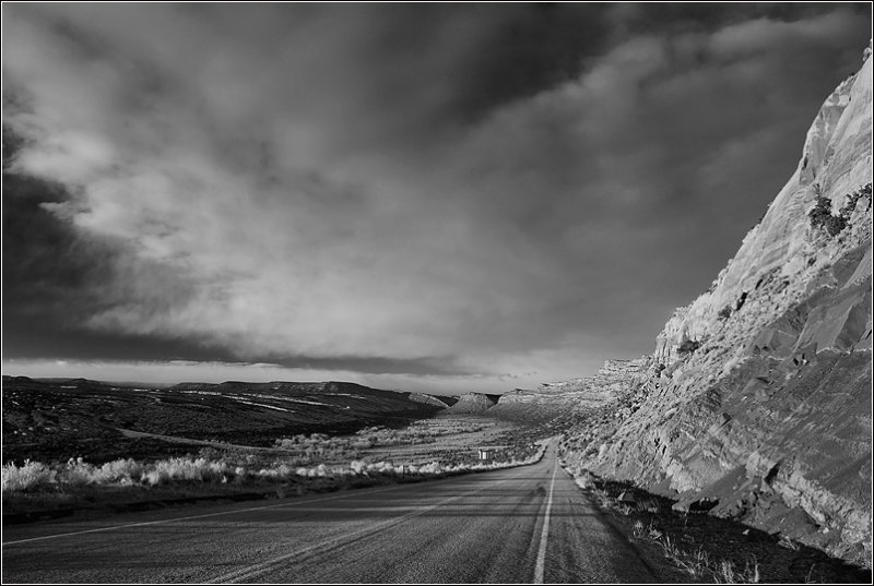 DSC_3696s_bw_800.jpg