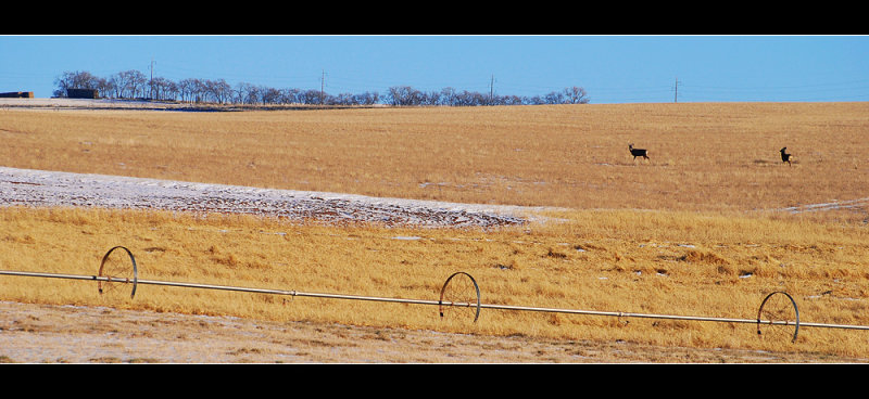 DSC_4312ss.jpg