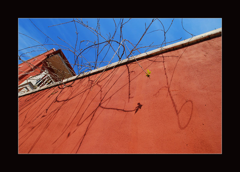 DSC_7704ss.jpg