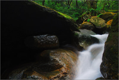 DSC_2657ss.jpg