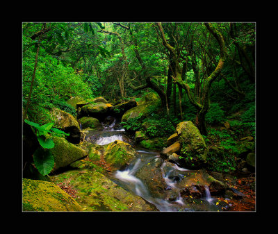 DSC_2681ss.jpg