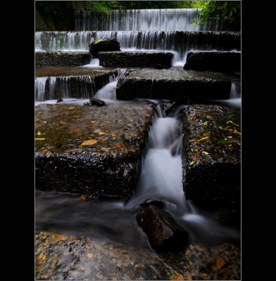 DSC_3865ss.jpg