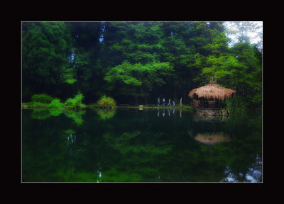 reflection