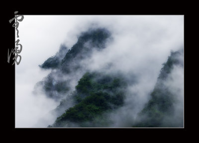 DSC_0368ss.jpg