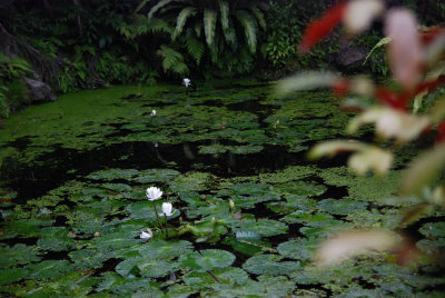 DSC_0236ss.jpg