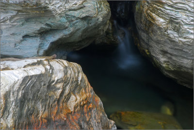DSC_2098ss.jpg