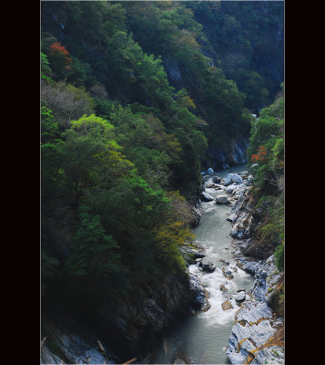 DSC_1154ss.jpg