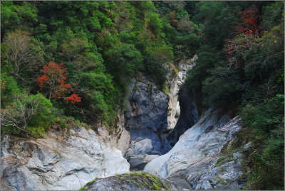 DSC_1136ss.jpg