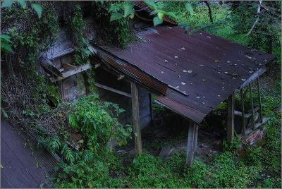 DSC_4017ss.jpg