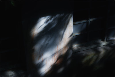 DSC_4078s.jpg