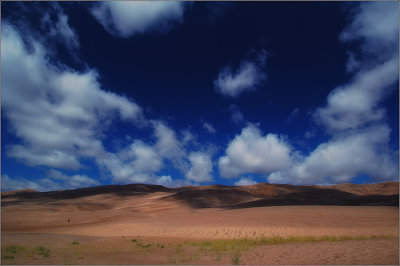 DSC_4663ss.jpg