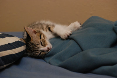 DSC_0800.jpg