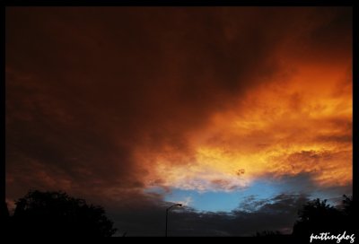 ~DSC_6525.jpg