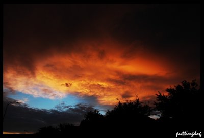 ~DSC_6529.jpg