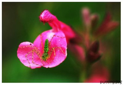DSC_8011.jpg