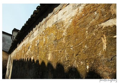 ~DSC_2215.jpg