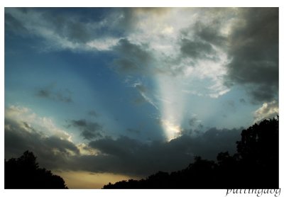 #DSC_8640.jpg
