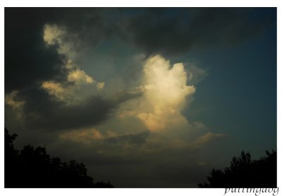#DSC_8662.jpg
